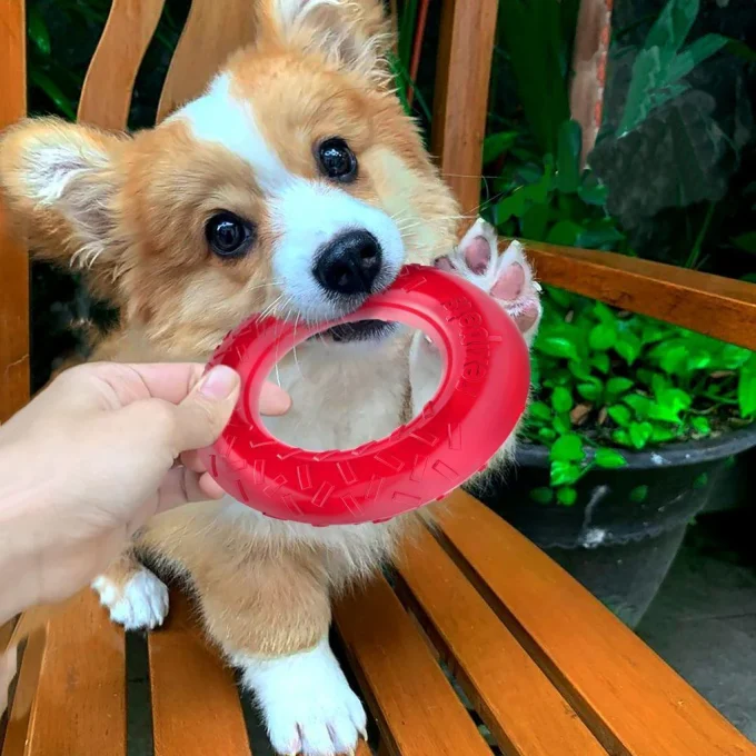 Dog Chew Ring - Image 2